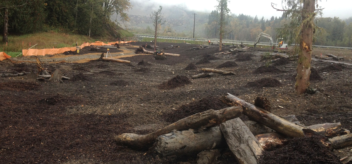 Atkinson Donates Oso Wetland Site to Snohomish County