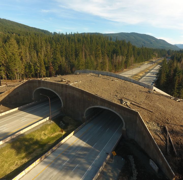 1-90/Keechelus Dam to Stampede Pass Phase 2A