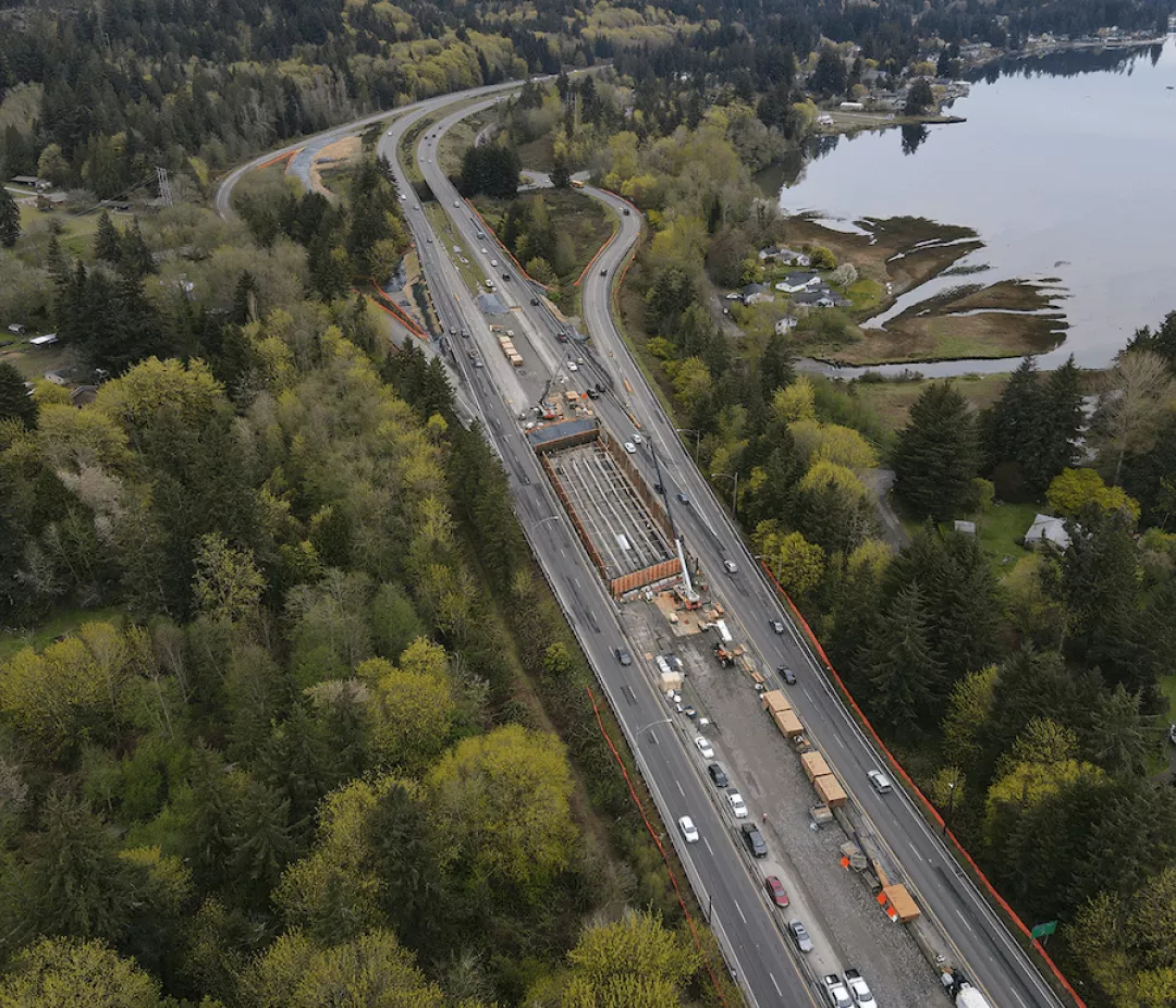 highway through a forest