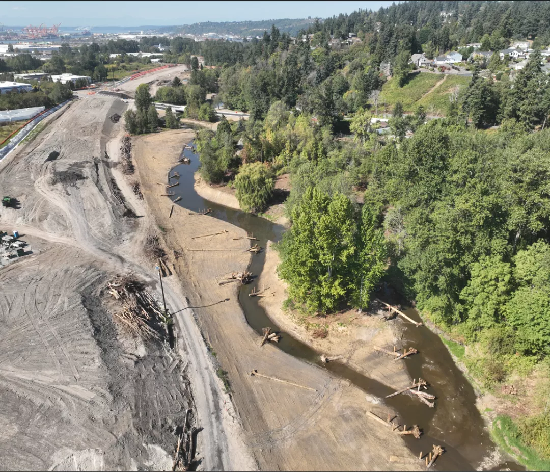 SR 167, Riparian Restoration Program, Hylebos Creek