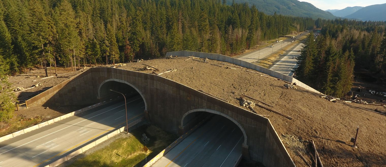 1-90/Keechelus Dam to Stampede Pass Phase 2A