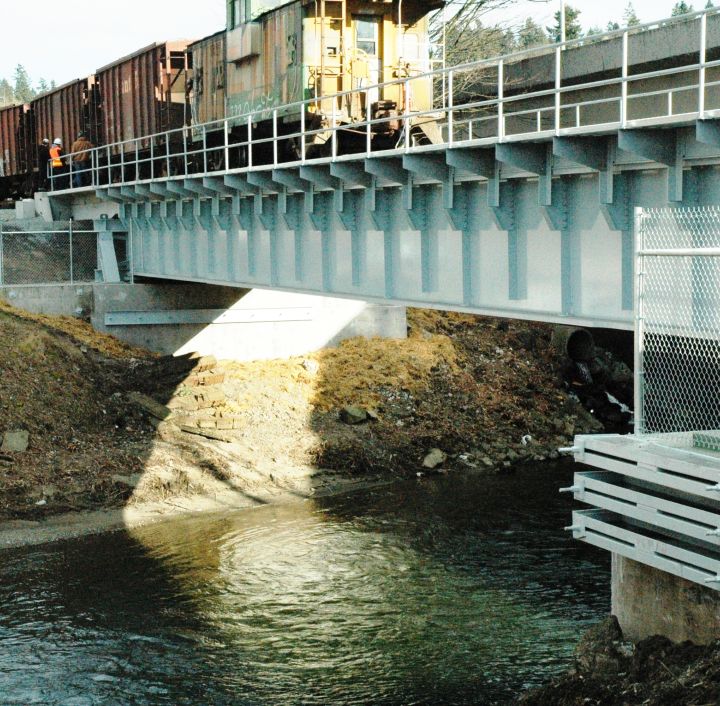 Cedar River Bridge